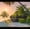 Window To Serene Beach, variant on Elephant Stock Window To Long Tail Boats Wall Art - Transportation Canvas Canvas - 12" x 8"