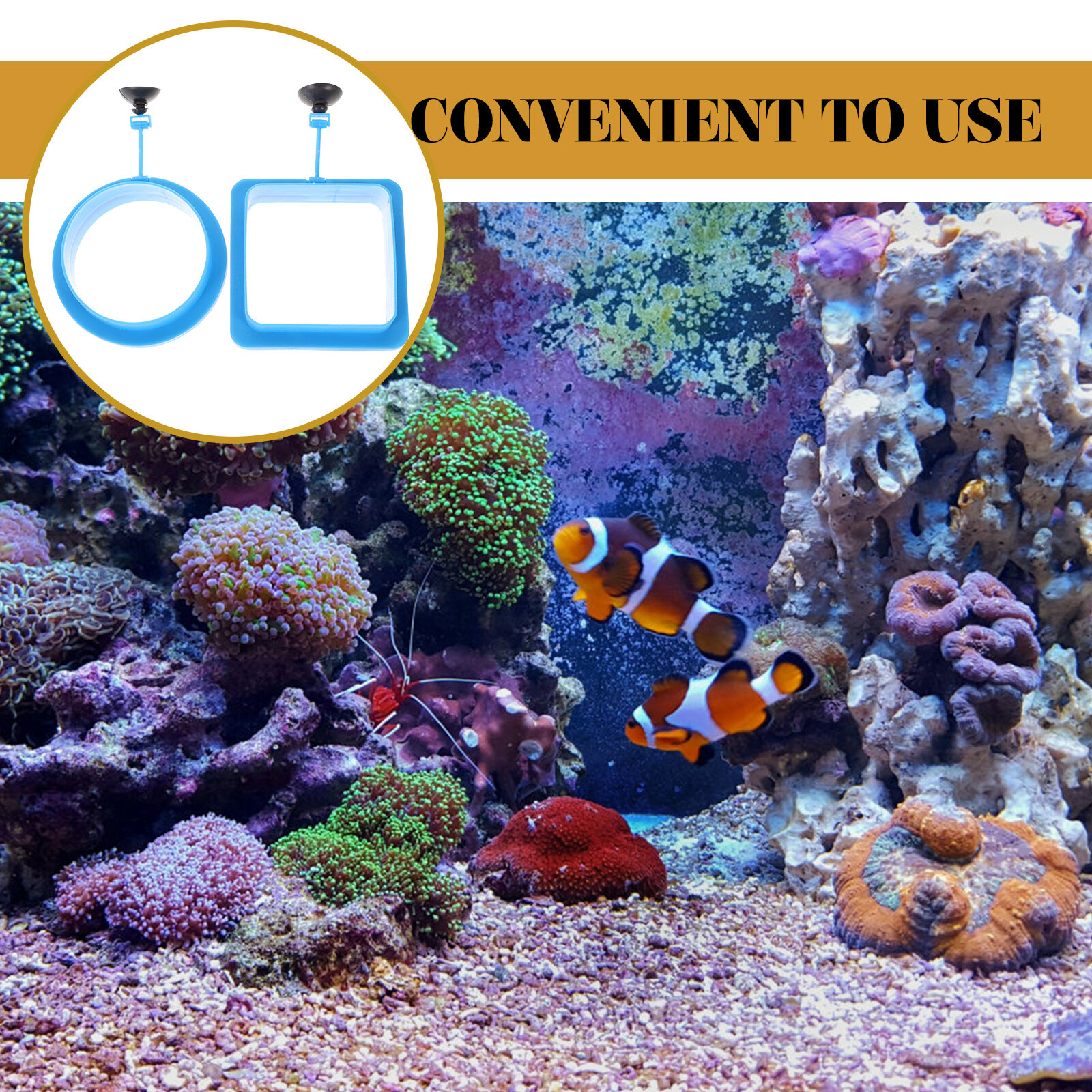 2Pcs Fish Feeding Rings Floating Fish Feeder Rings Fish Feeding Circles Fish Tank Fish Feeders