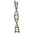 thumbnail image 1 of Kit de modelo molecular de estructura de doble hélice, juguete educativo científico, 1 of 1