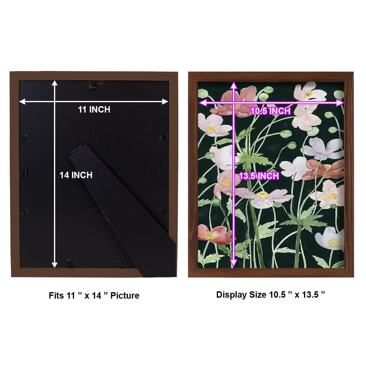 Anemone Dance III -Framed Print w/glass-Chestnut