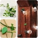 thumbnail image 3 of 160 Piezas Clips de Fijación de Pared para Plantas Trepadoras Fijador de Plantas, Vides, Jardín, Hoja Verde, Clips de Pared para Plantas, Soporte de Vides para Decoración de Pared, 3 of 9