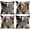Cowhide Leopard, variant on Throw Pillow Covers, Retro Brown Rustic Cowhide Print Home Decor Set of 4 Pillow Cases, 18 X 18 inches Sofa Cushion Couch Sofa Pillowcases Decorative