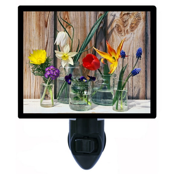 Night Light - Night Light Plus Extra Free Switchable Insert. 4 Watt Bulb, E12 Base. Cut Flowers.