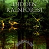 Hidden Rainforest