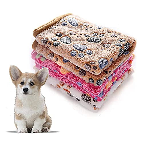 Why Do Puppies Chew Blankets