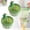 2A, variant on Cactus Kitchen Sink Drain Strainer, 2026 Upgrade Press Automatic Dumping Basket, Multi-Functional Anti-Clogging Kitchen Drainer With Lifting Handle (Green)