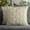 Beige, variant on 4TH Emotion Christmas Trees Decorative Pillow Covers 18x18 Set of 2, Beige Soft Plush Faux Fur Farmhouse Throw Cushion Cases for Xmas Winter Holiday Home Decor