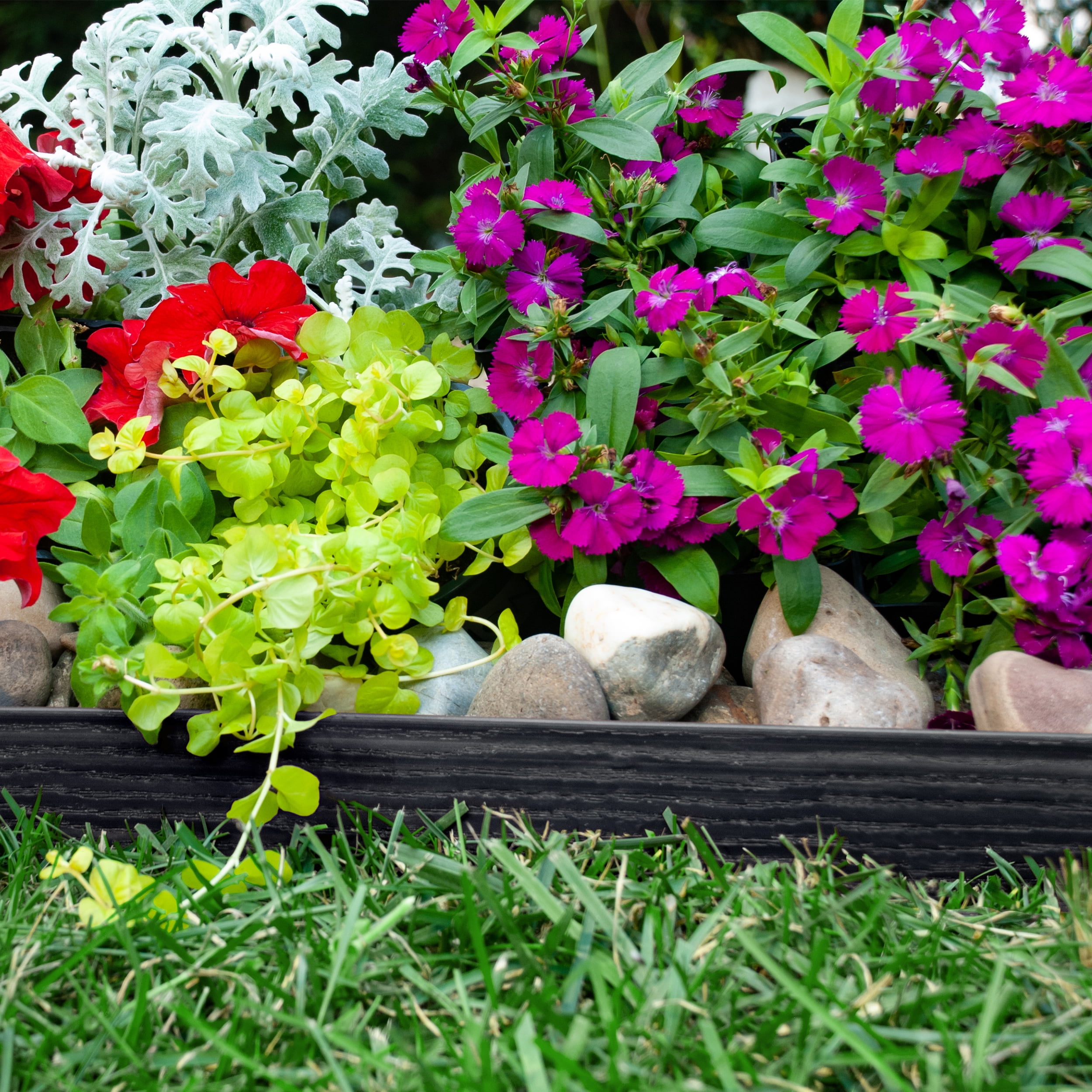 Expert Gardener 2.5" x 40' Black No-Dig Landscape Edging Kit