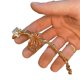 thumbnail image 3 of Anillo De Metal De Escorpión A La Moda Para Hombres Y Mujeres, Joyería De Insectos Punk, Anillo Mecánico Transformador Para Regalo De Novio Y Novia Advancent AP005889-00, 3 of 3
