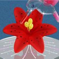 thumbnail image 5 of Glass Baron Hummingbird, Red, 5 of 5