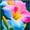 C, variant on Lily, Low Maintenance - Easy Grow - Ideal for Beds Borders, Plant Pots & Planters
