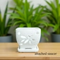 thumbnail image 4 of Orchid Pots with Holes Square Ceramic Orchid Planter Pots 5.5 inch (White), 4 of 18