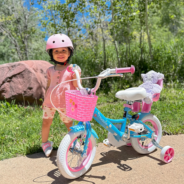 Schwinn Bike ACEGER Princess Bike For Girls (Ages 3-14) - 14