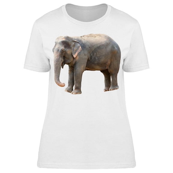 Super Cute Elephant Baby T-Shirt Women -Image by Shutterstock, Female 3X-Large