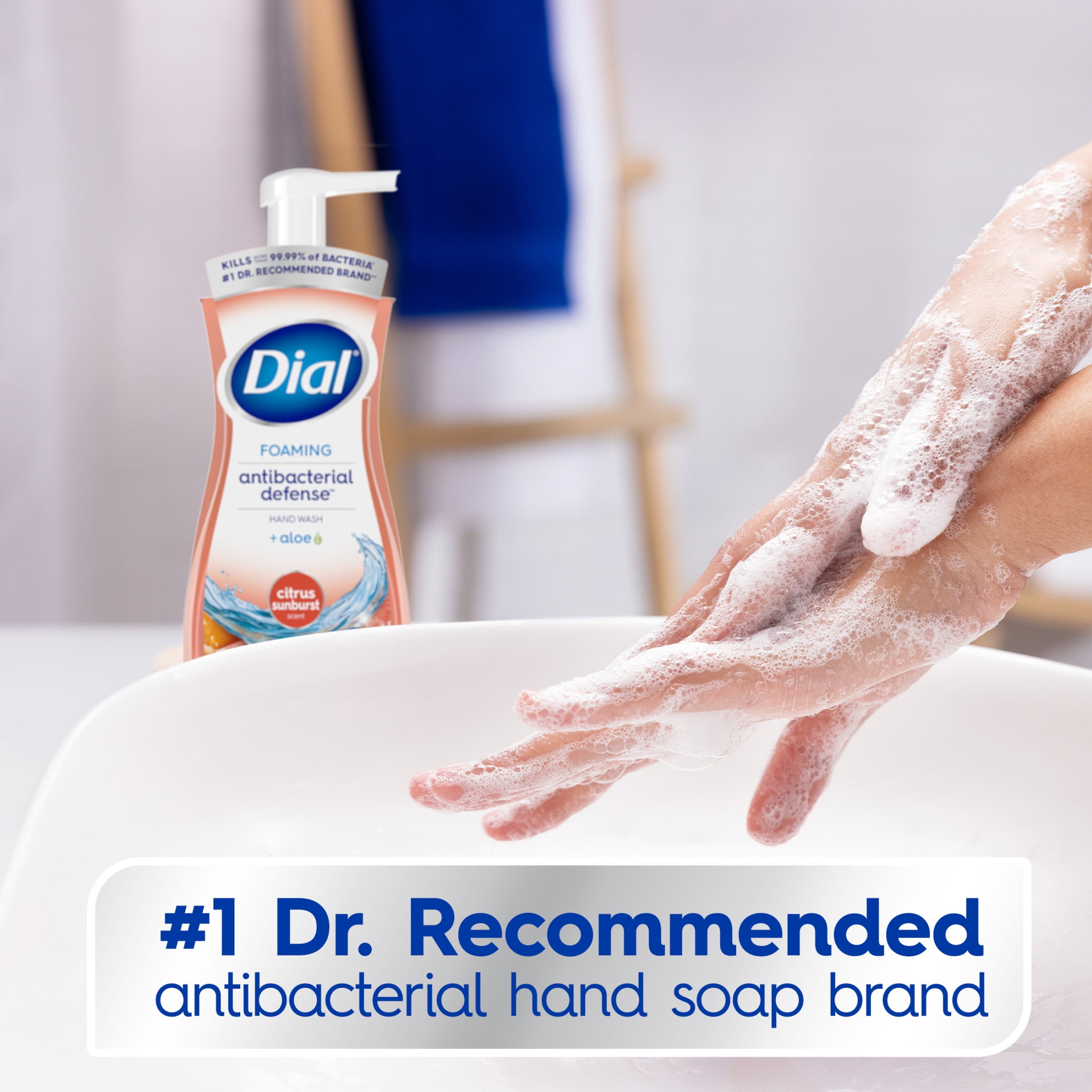 (6 pack) Dial Antibacterial Defense Citrus Sunburst Scent Foaming Hand Soap, 7.5 fl oz