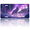 Arctic Wolf in a Snowy Northern Lights Landscape, variant on 1 Pcs License Plate Covers & Frames, Arctic Wolf in a Snowy Northern Lights Landscape For Decorative Front, Aluminum License Plate Covers & Frames Cover For Men Women, 12" X 6"