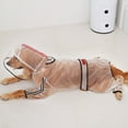 Shulemin Dog Raincoat Fourlegged Waterproof Transparent Pet Raincoat