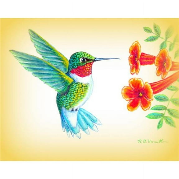 Betsy Drake PM1093 Dicks Hummingbird Place Mat - Set of 4