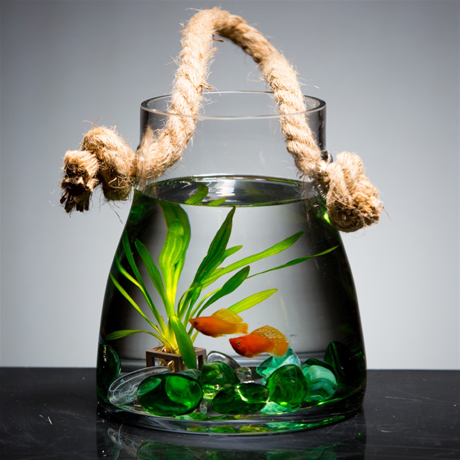 Hanging Indoor Outdoor Glass Fish Tank Living Room Small Wall-mounted Goldfish Aquarium