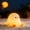 Baby Penguin, variant on BARMOTU Duck Cute Lamp, Soft Adorable Chubby Duck Night Light, Dimmable Touch-Activated Silicone Animal Lamp, Desktop Decoration, Plush Toy Gift