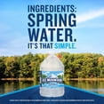 thumbnail image 3 of Ice Mountain Spring Water, 3 Liter, Single Plastic Jug, 3 of 11