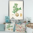 thumbnail image 3 of Designart 'Ancient Plant Life X' Farmhouse Framed Art Print, 3 of 4