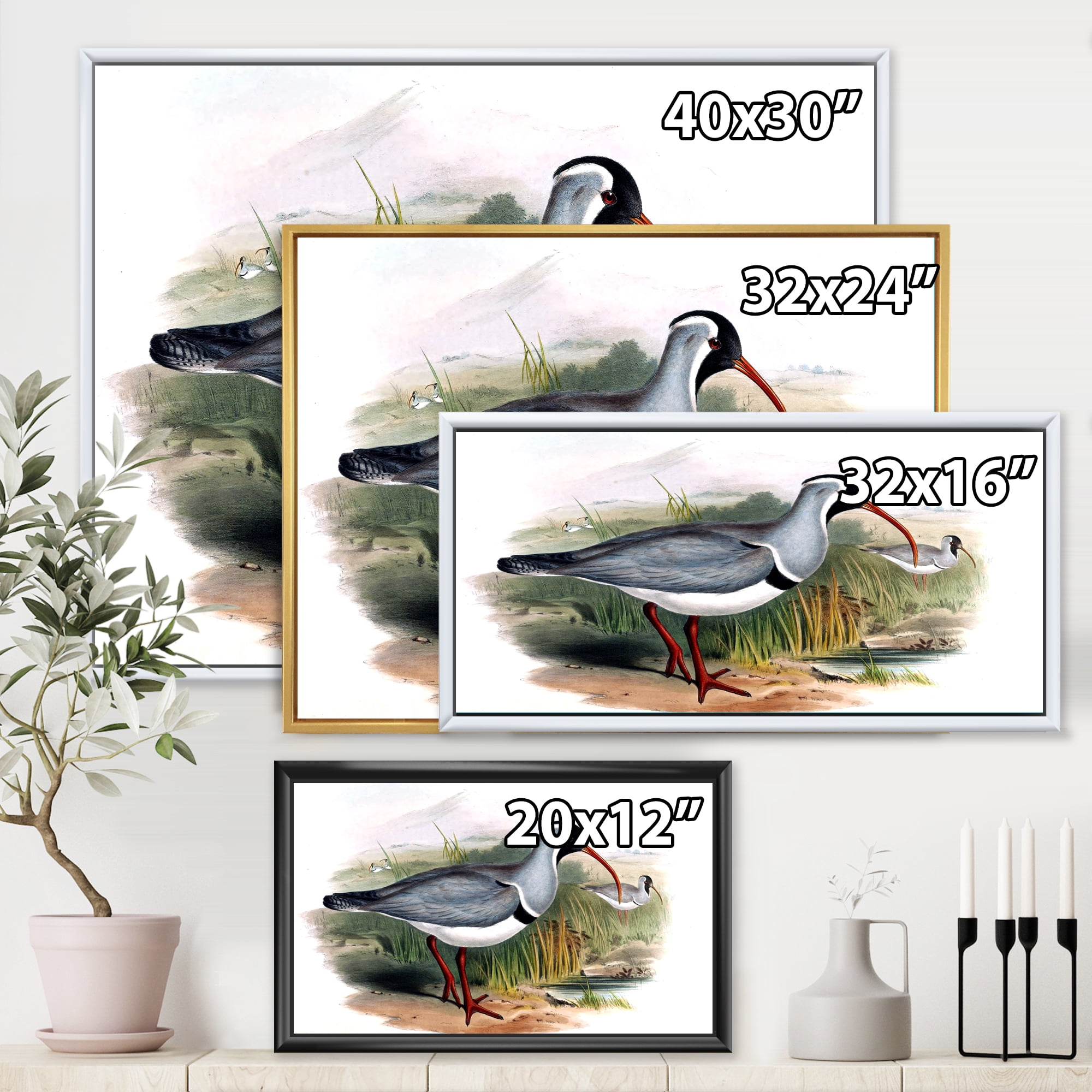 Designart 'Vintage Countryside Birds In Wild' Farmhouse Framed Canvas Wall Art Print