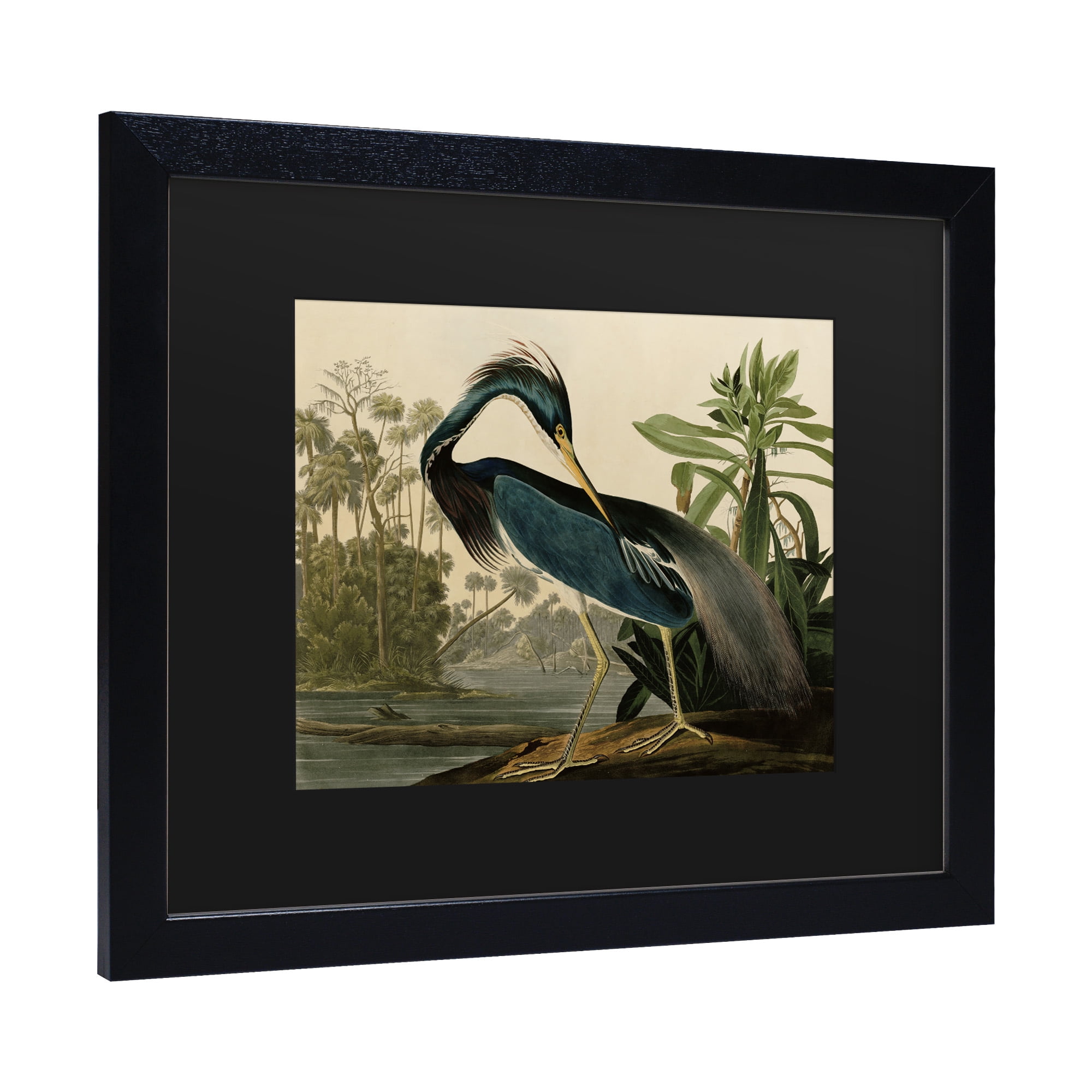Trademark Fine Art 'Louisiana Heron' Canvas Art by John James Audubon