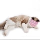 thumbnail image 5 of Malla Transpirable de , Bozales Versátiles para Mascotas Bozales Antimegazas Contra El Maullido - , L L Yinane Bozal de gato, 5 of 8