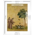 thumbnail image 5 of Art.com St. Francis of Assisi Preaching to the Birds Giclee Print by Giotto di Bondone, White Frame Wall Art, 17" x 21", 5 of 5