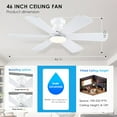 thumbnail image 2 of PHORUS 46'' Silver Low Profile Flush Mount Ceiling Fan with Lights, Remote & App Control, Dual-Sided Modern/Rustic 6 Blades, Reversible, 3 CCT,Bedroom & Kitchen, 2 of 8