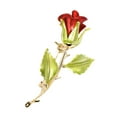 thumbnail image 3 of Pin de broche de flores de rosas Broche Día del día accesorios de vestuario ción elegante con hojas, 3 of 8