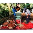 thumbnail image 3 of LAKAM HA Caf&eacute; de Chiapas - Caf&eacute; Arabico Mezclado con Cacao - Bolsa de Caf&eacute; Molido 900g, 3 of 9