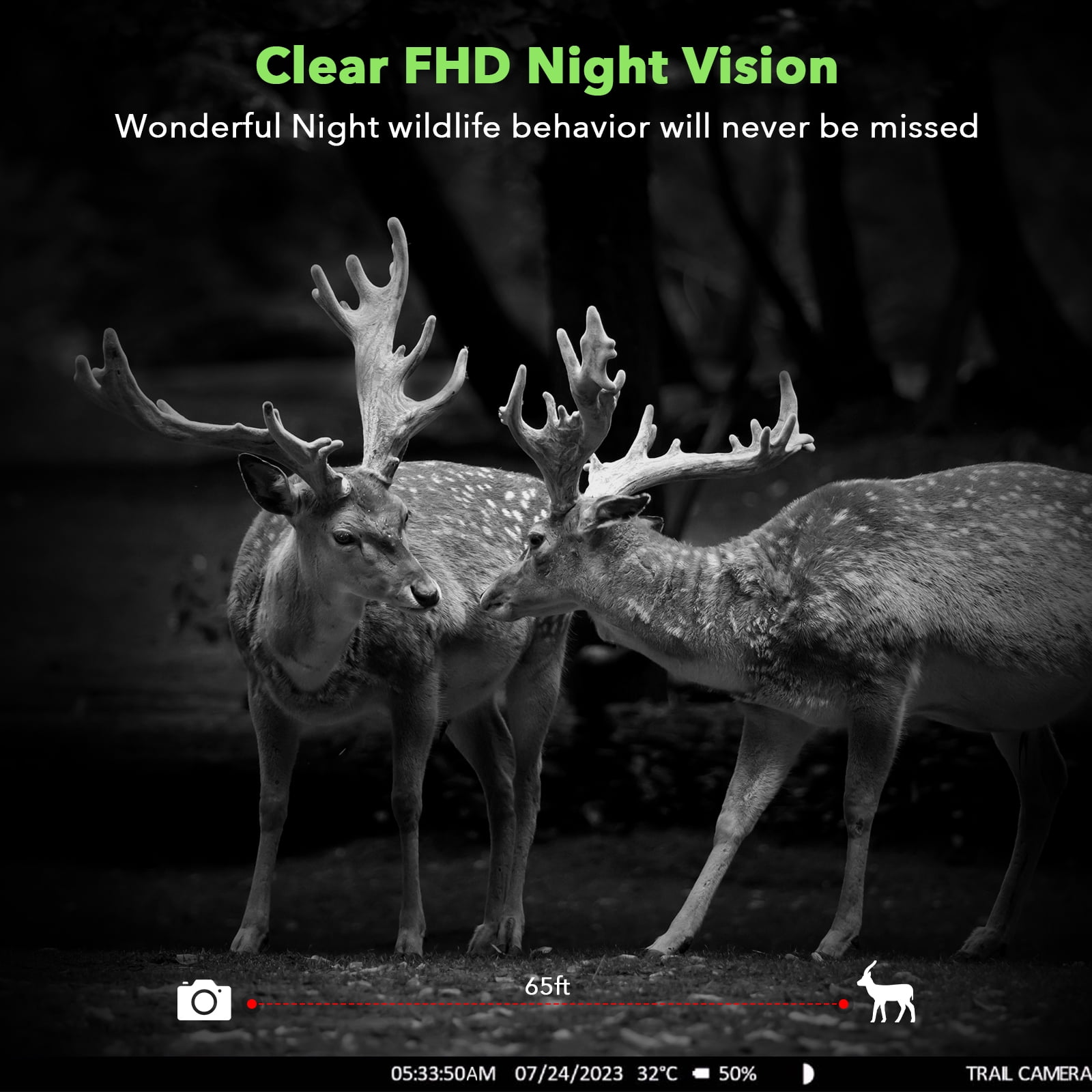 CAMPARK 2-Pack Wildlife Trail Camera, 36MP 2K Hunting, Night