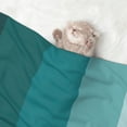 thumbnail image 2 of Disketp Teal Color Dog Blanket/Bed Cover for Dogs and Cats,Puppy Essentials-Large, 2 of 8