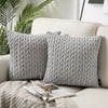 Phantoscope Quilted Velvet Braid Textured Pleated Decorative Throw Pillow, 20  X 20 , Gray, 2 Pack