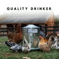 thumbnail image 6 of Harris Farms Galvanized Steel Double Wall Poultry Drinker 5 Gallon, 6 of 7