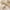 Beige, variant on Aayomet Girls Training Underwear Little Girls Panties Baby Toddler Soft Underwear (Pink,7-8 Years)