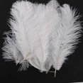 thumbnail image 2 of 100 Pieces White Natural Ostrich Feather 20-25cm Wedding DIY, 2 of 5