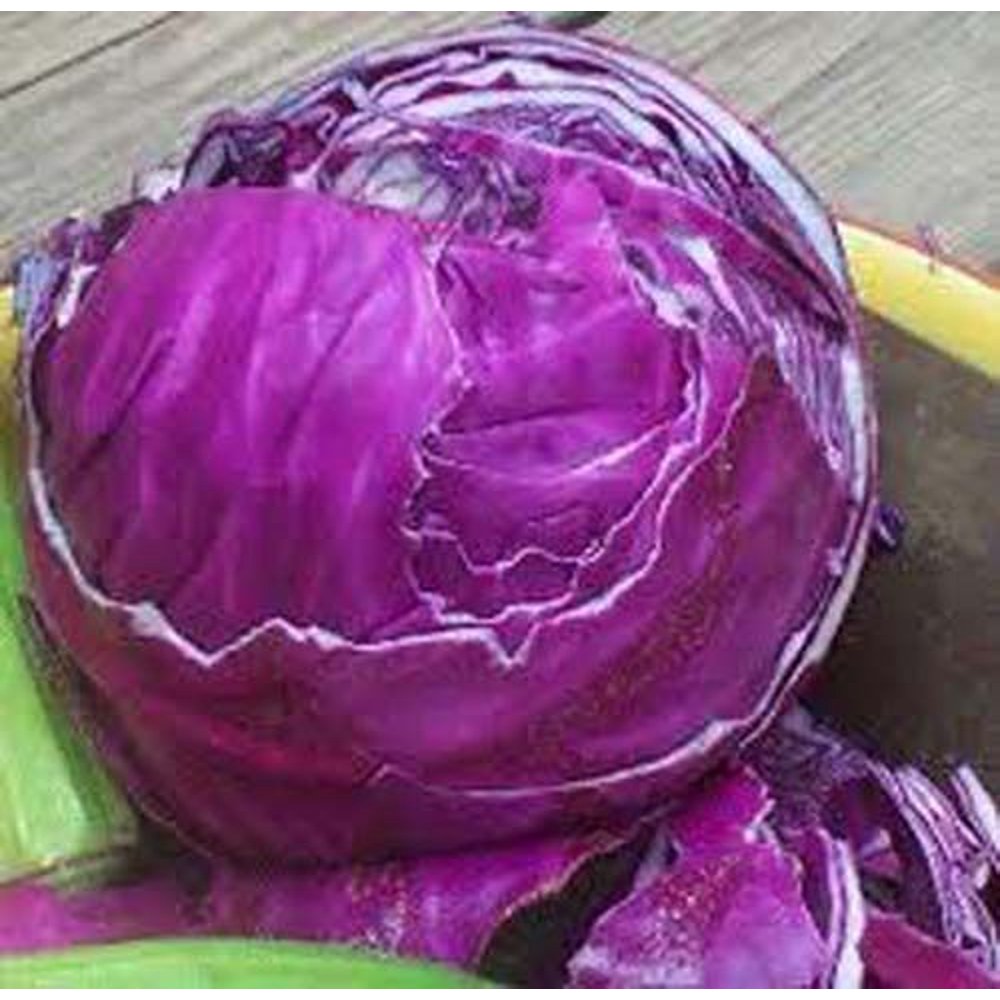 Cabbage Red Acre Great Heirloom Vegetable 700 Seeds By Seed Kingdom