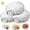 3PCS, variant on Glass Shell-Shaped Dumpling Plate, Glass Shell Dumpling Tray with Sauce Plate Snack Dessert, Dumplings Storage for Home Kitchen Use and Weddings