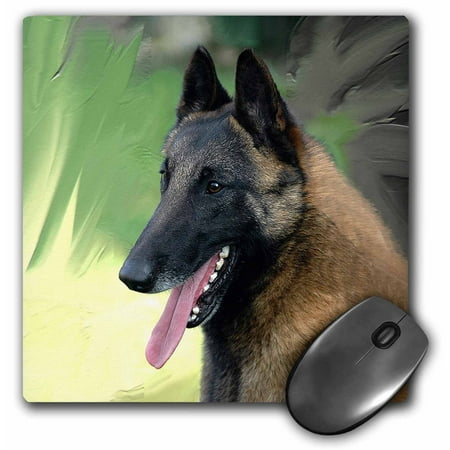 3dRose Belgian Malinois Portrait, Mouse Pad, 8 by 8 inches