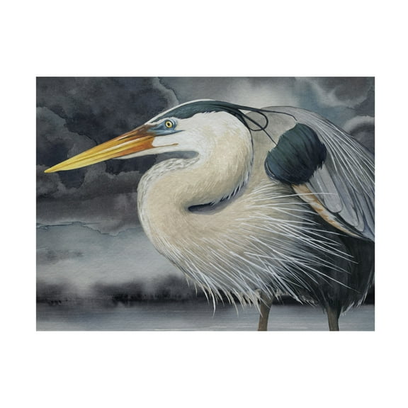 Trademark Fine Art Grace Popp  Stormy Blue II Canvas Wall Art