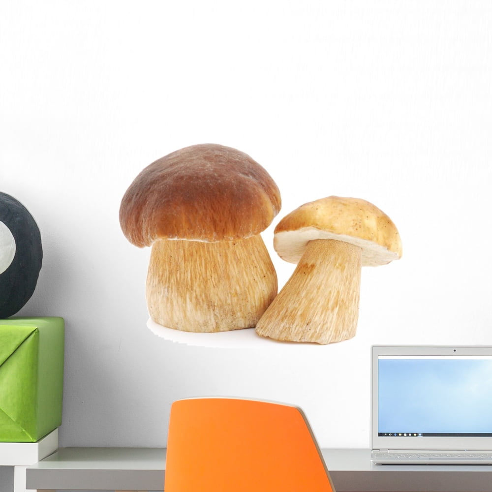 Mushrooms Wall Decal by Wallmonkeys Peel and Stick Graphic (18 in W x