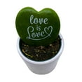 thumbnail image 5 of Hoya Kerri Heart with Painted Message, Decorative Green Kerrii Heart, Sweet Message in 2 inch Pot, 5 of 8