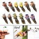 thumbnail image 3 of 12 piezas de plumas de espuma creativas, modelo de pájaro artificial, figura de pájaro de imitación para el hogar Garra, 3 of 9