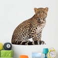 thumbnail image 1 of Leopard Panthera Pardus 6 Wall Decal by Wallmonkeys Peel and Stick Graphic (48 in W x 45 in H) WM115652, 1 of 4