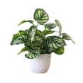 thumbnail image 1 of fastboy Artificial Potted Plant Leaf Simulation Leaves Home Office Desktop Greenery Decoration, Plant Type 7, 1 of 7