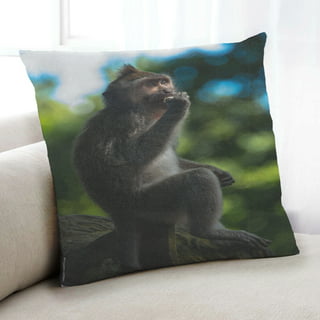 Monkeys Clothing Lovers Zoo Animal Wildlife Gorilla Throw Pillow, 16x16,  Multicolor