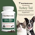 thumbnail image 2 of Supplement Real Mushrooms Support pour Animaux Queue de Dinde 90 Capsules, 2 of 8